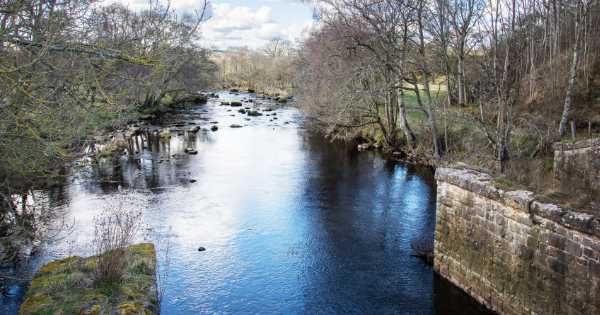 Walk 10: Two Rivers and a Hidden Bridge