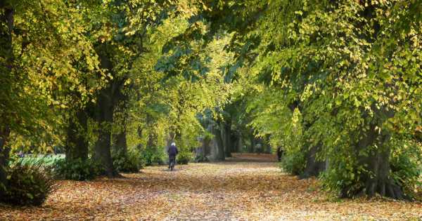 Walk 16: A Tynedale Toddle