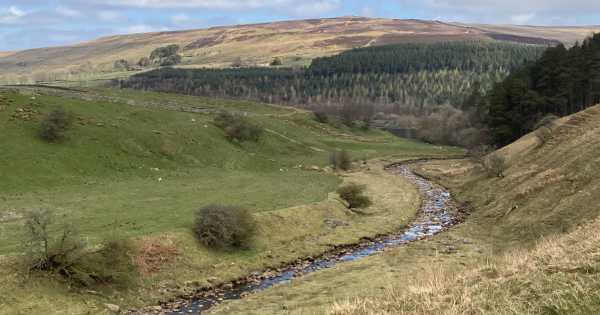 Walk 18: Trail to Tutman's Hole