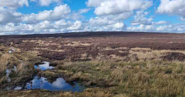 Walk 15: East Allen (Dale and Fell)